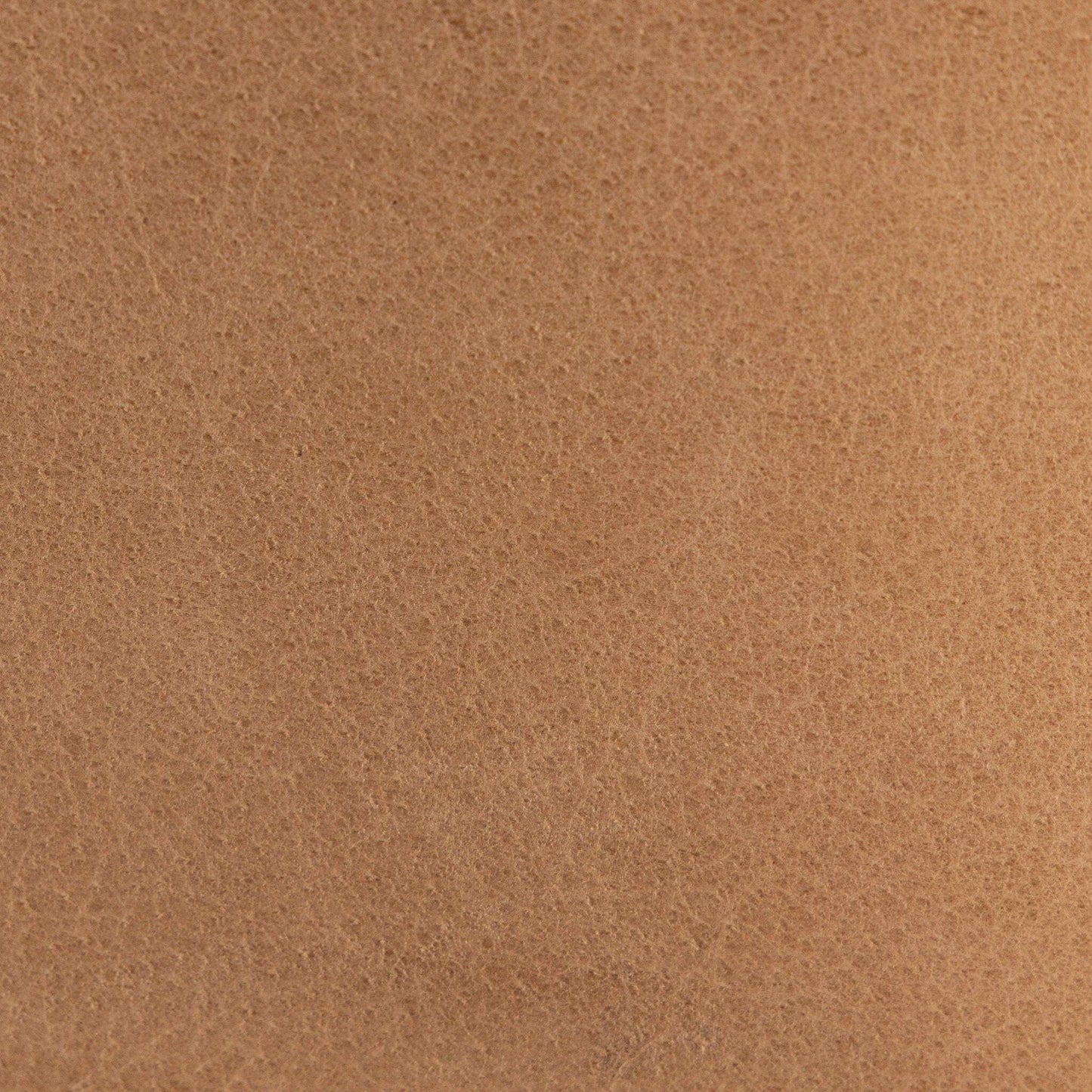 Ferris Dining Armchair - Thames Cream.