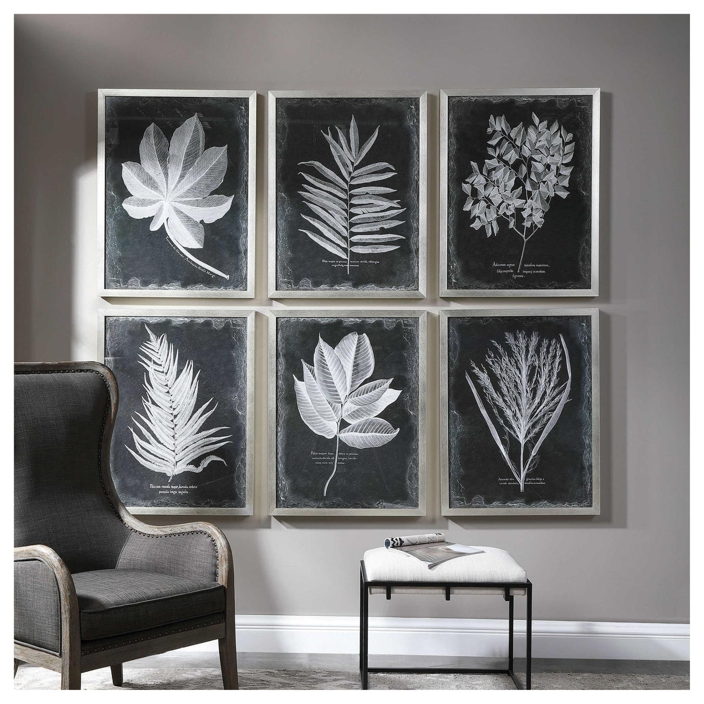 Foliage Framed Prints, S/6.