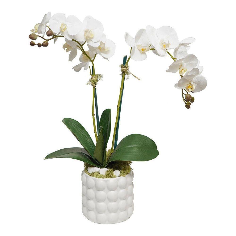 Forever Fresh Orchid in White Bubble Pot.