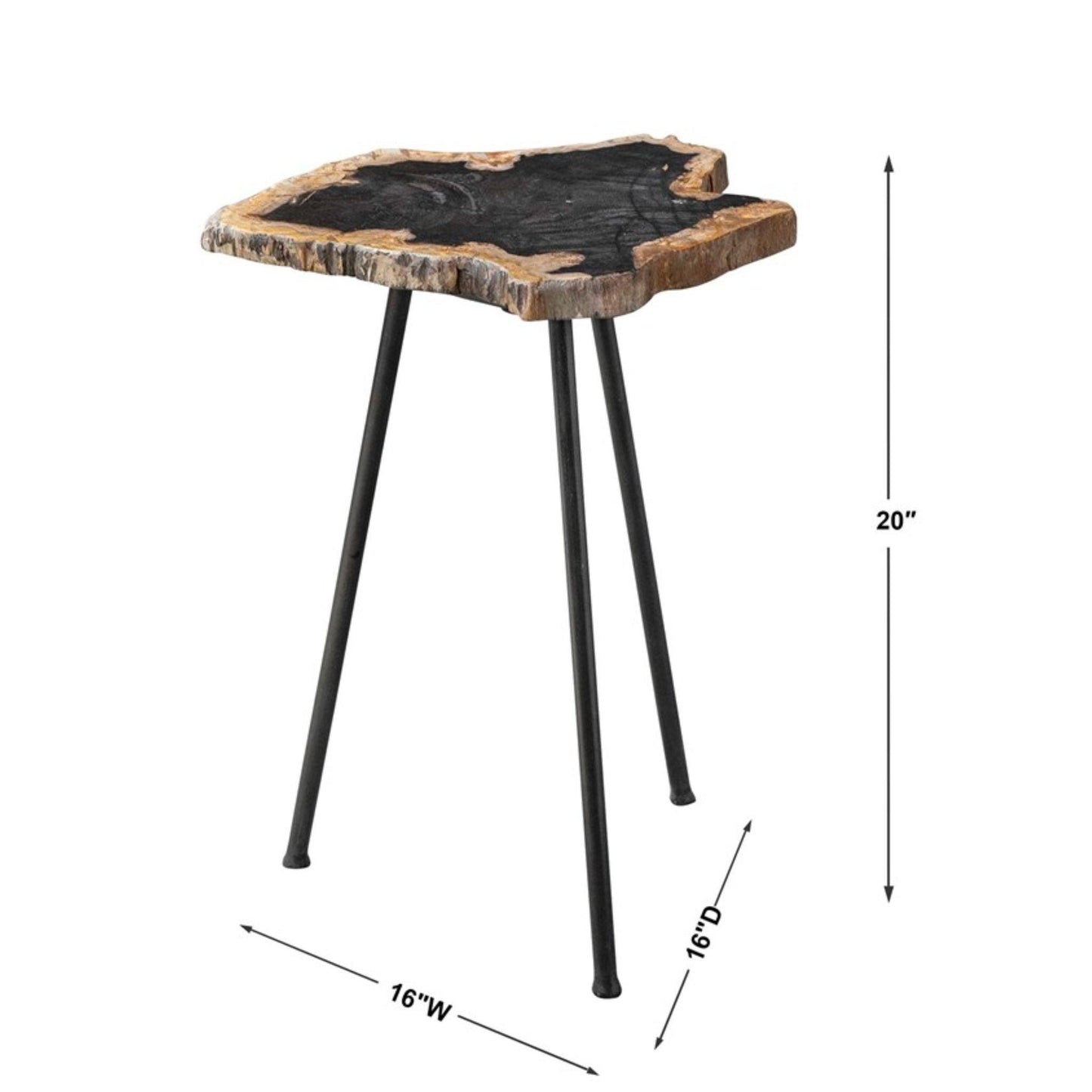Mircea Petrified Wood Accent Table.