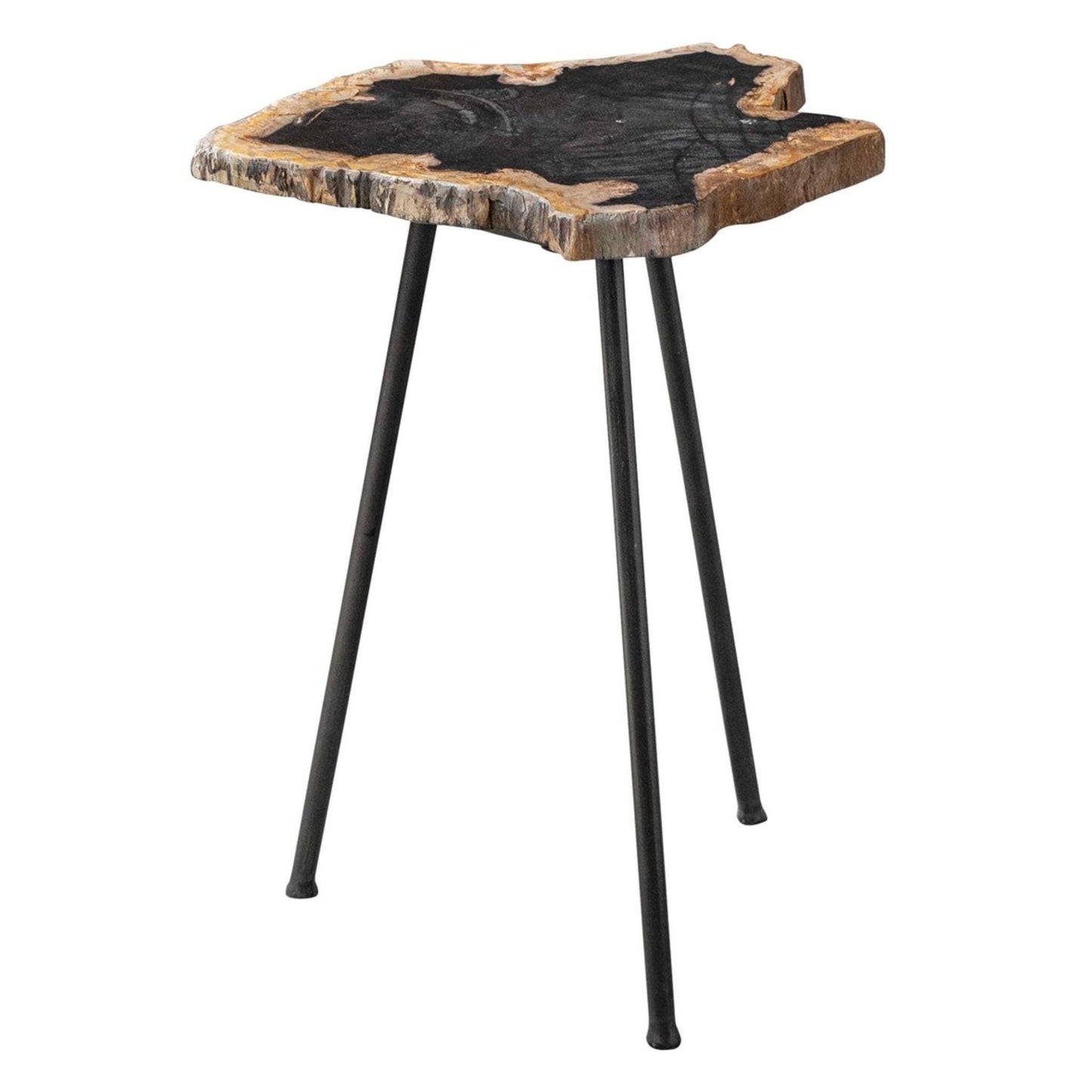 Mircea Petrified Wood Accent Table.