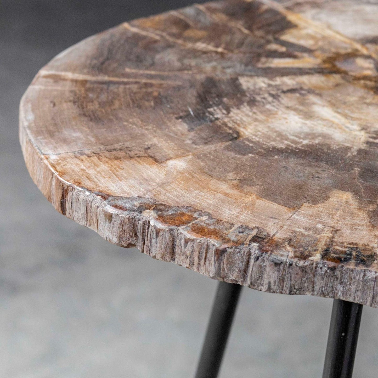 Mircea Petrified Wood Accent Table.