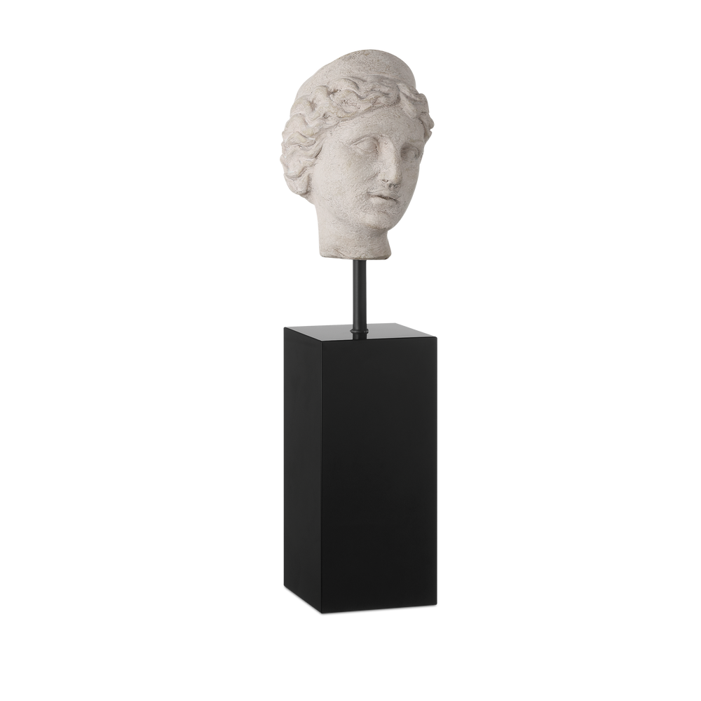 
                      
                        Venus Head on Stand Set of 2
                      
                    