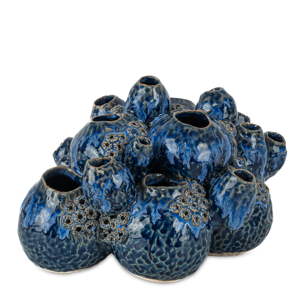 
                      
                        Sulawasi Blue Shells.
                      
                    