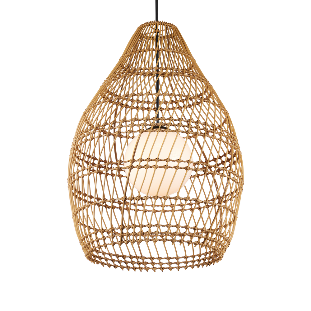 
                      
                        Fishtrap Outdoor Pendant.
                      
                    