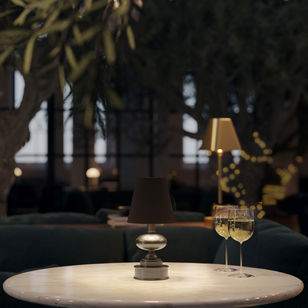 
                      
                        Galavant Nickel Cordless Table Lamp.
                      
                    