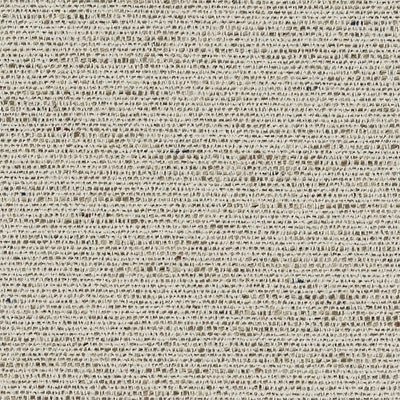 1011-002 Fabric Swatch