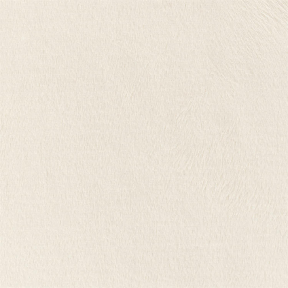 1023 - 002 Fabric Swatch - #shop_name swatch