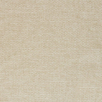 1029-010 Fabric Swatch