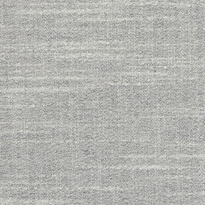 1065-100 Fabric Swatch