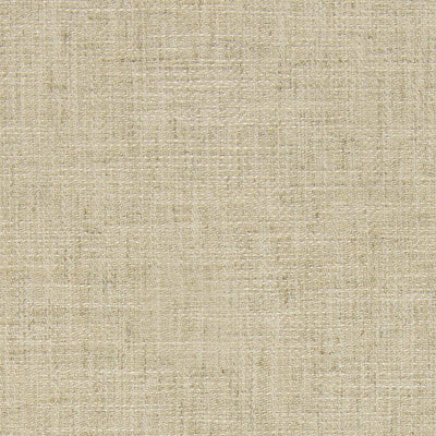 1077-002 Fabric Swatch