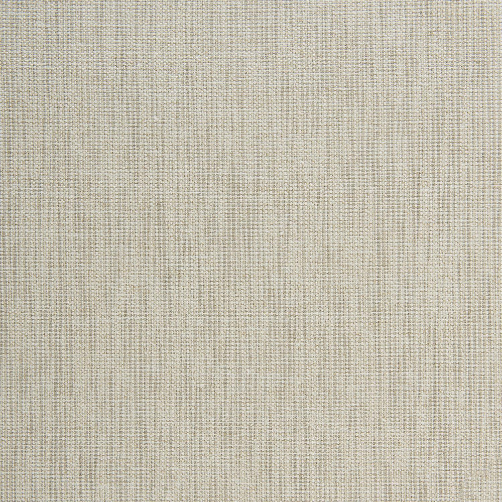 1321 - 010 Fabric Swatch - #shop_name swatch