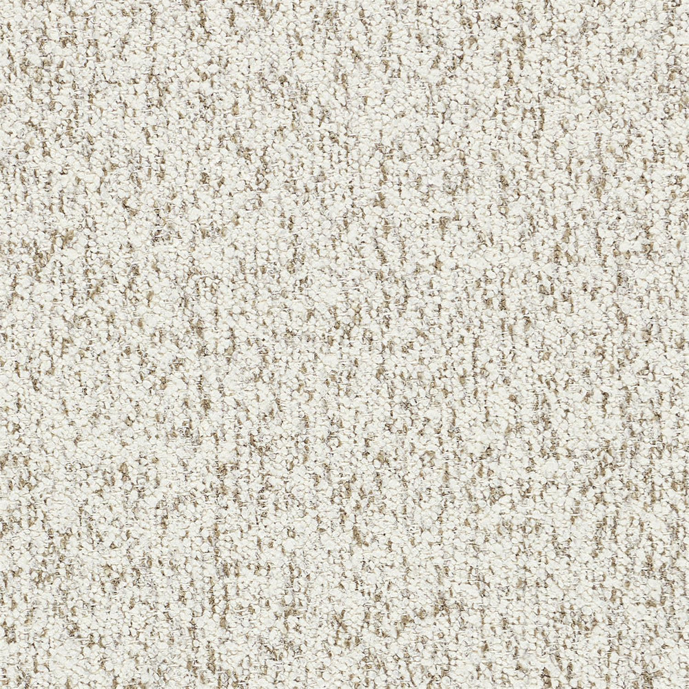 
                      
                        SOFA FABRIC2
                      
                    