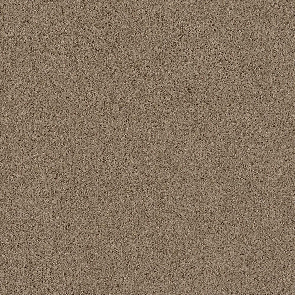 
                      
                        SOFA FABRIC2
                      
                    