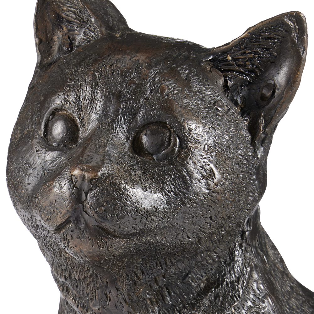Gatto Bronze.