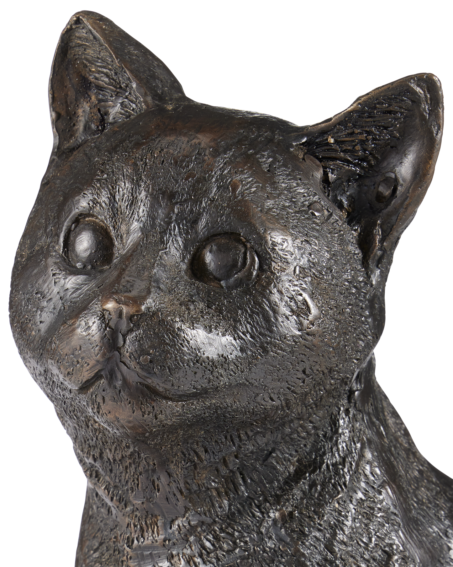 Gatto Bronze.