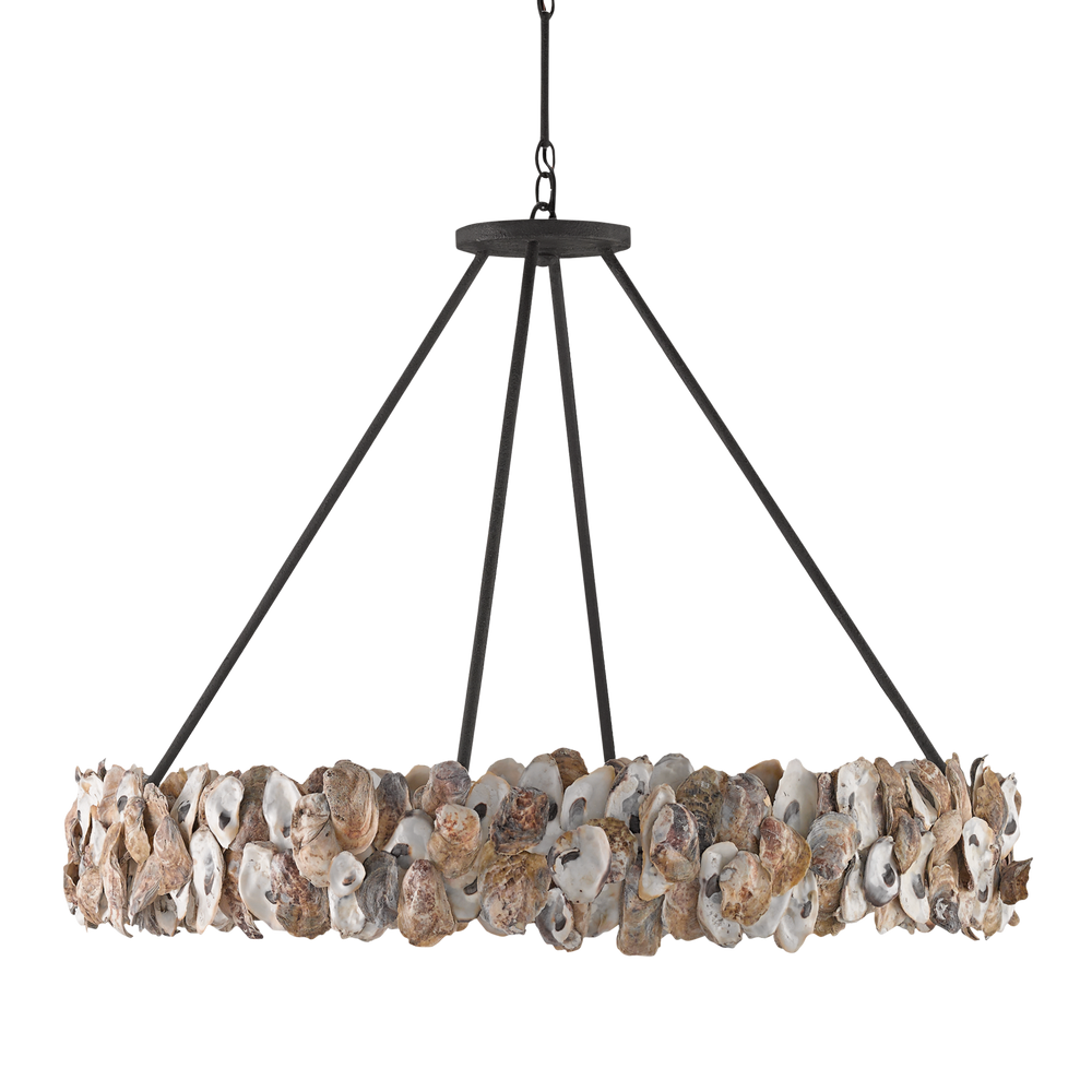 
                      
                        Oyster Shell Chandelier
                      
                    