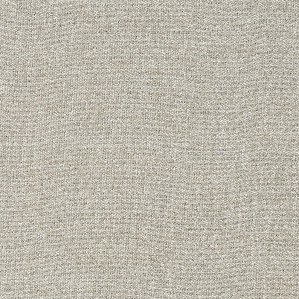 2455 - 002 Fabric Swatch - #shop_name swatch