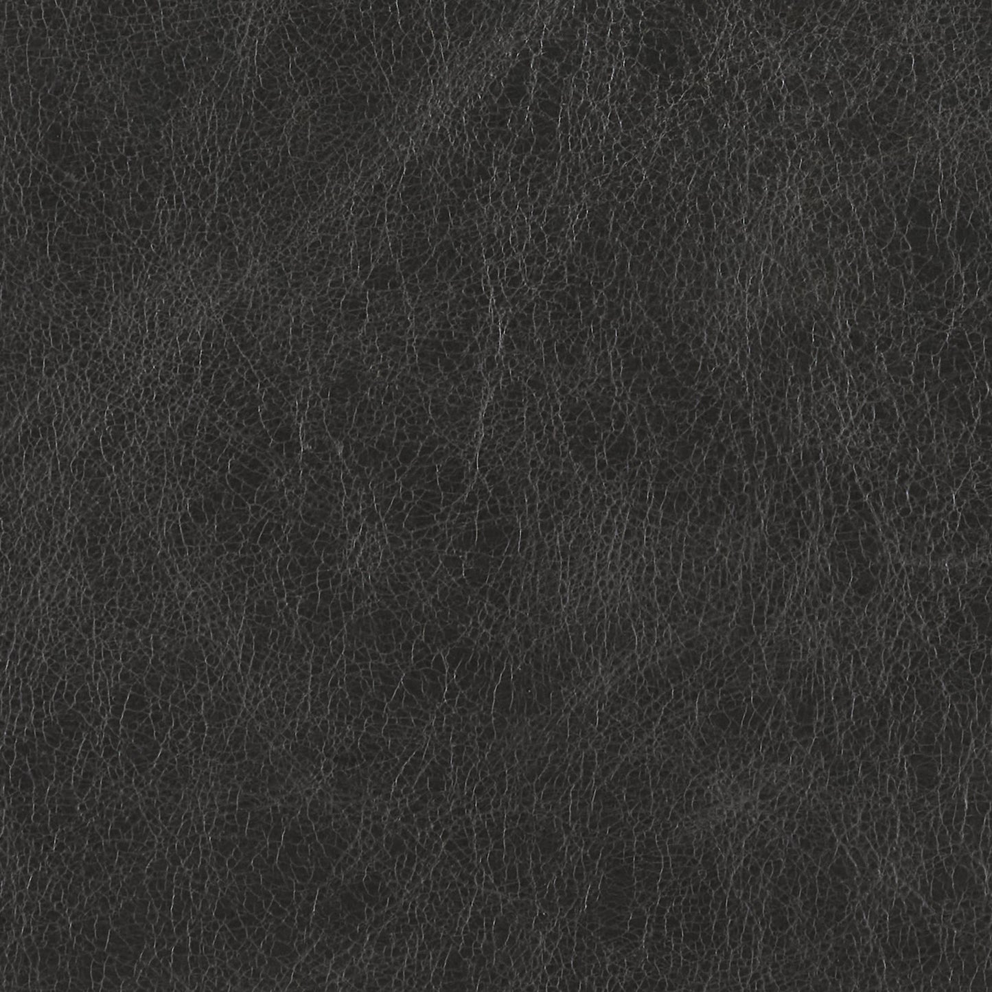 296-011 Leather Swatch