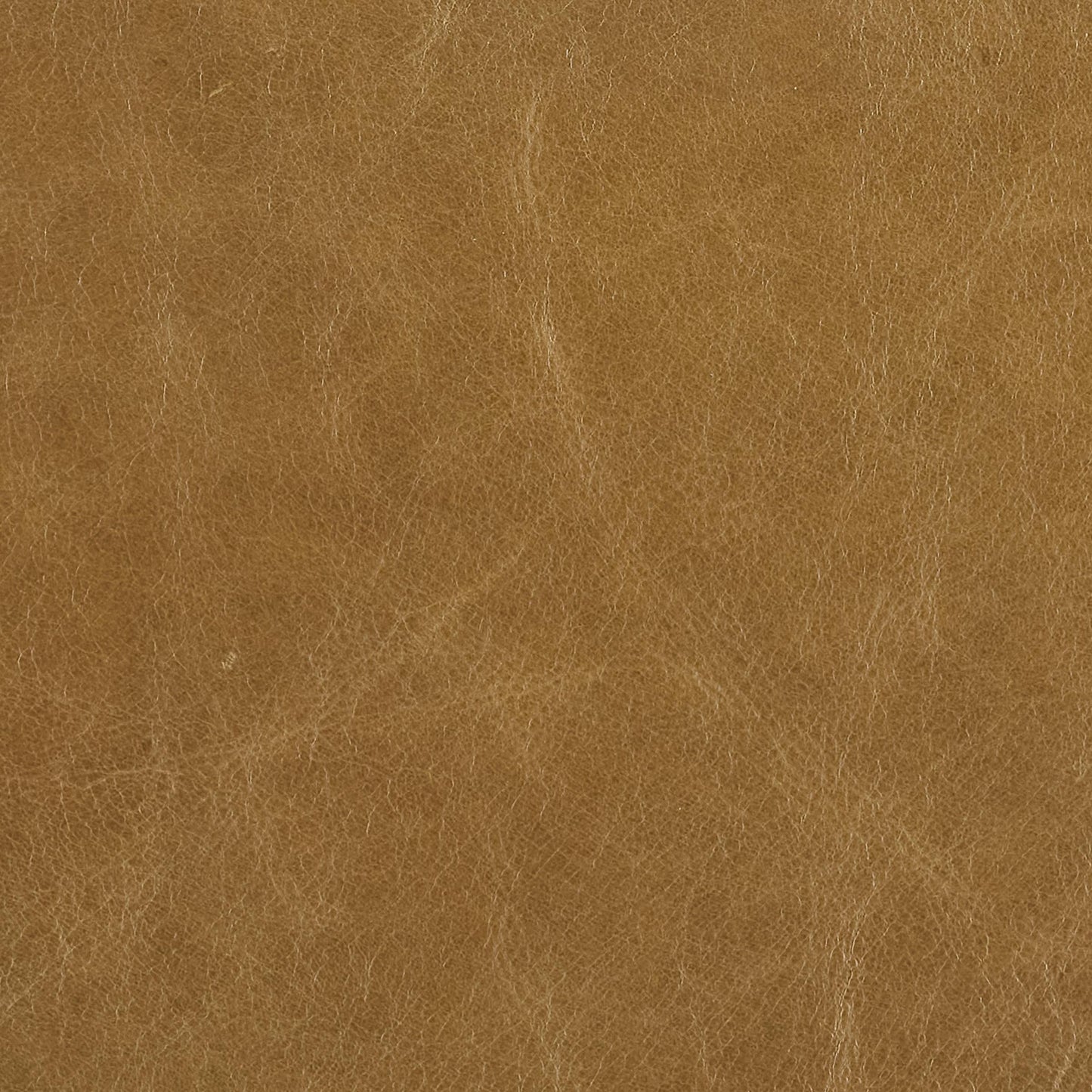 296-020 Leather Swatch