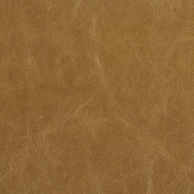 296-020 Leather Swatch