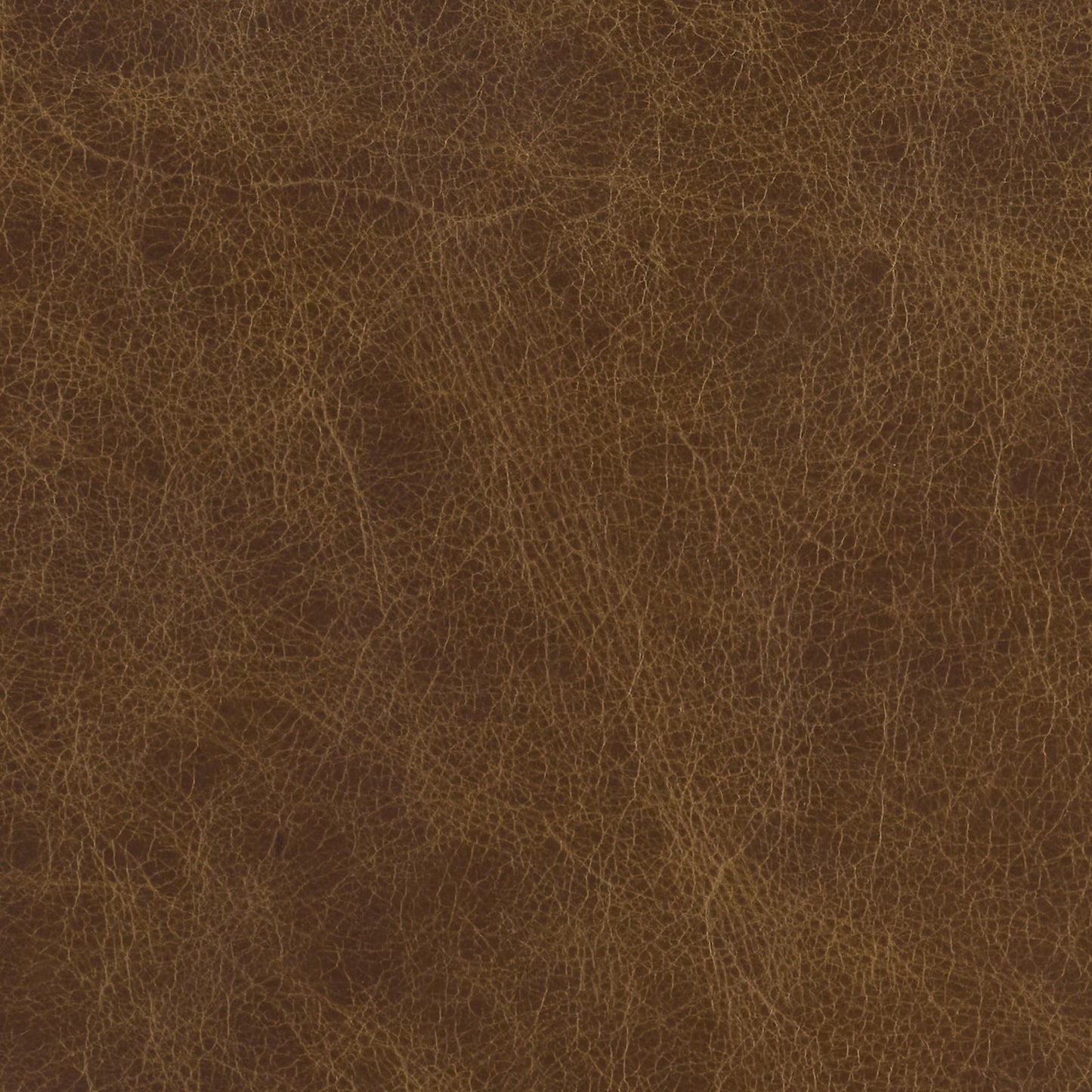 296-022 Leather Swatch