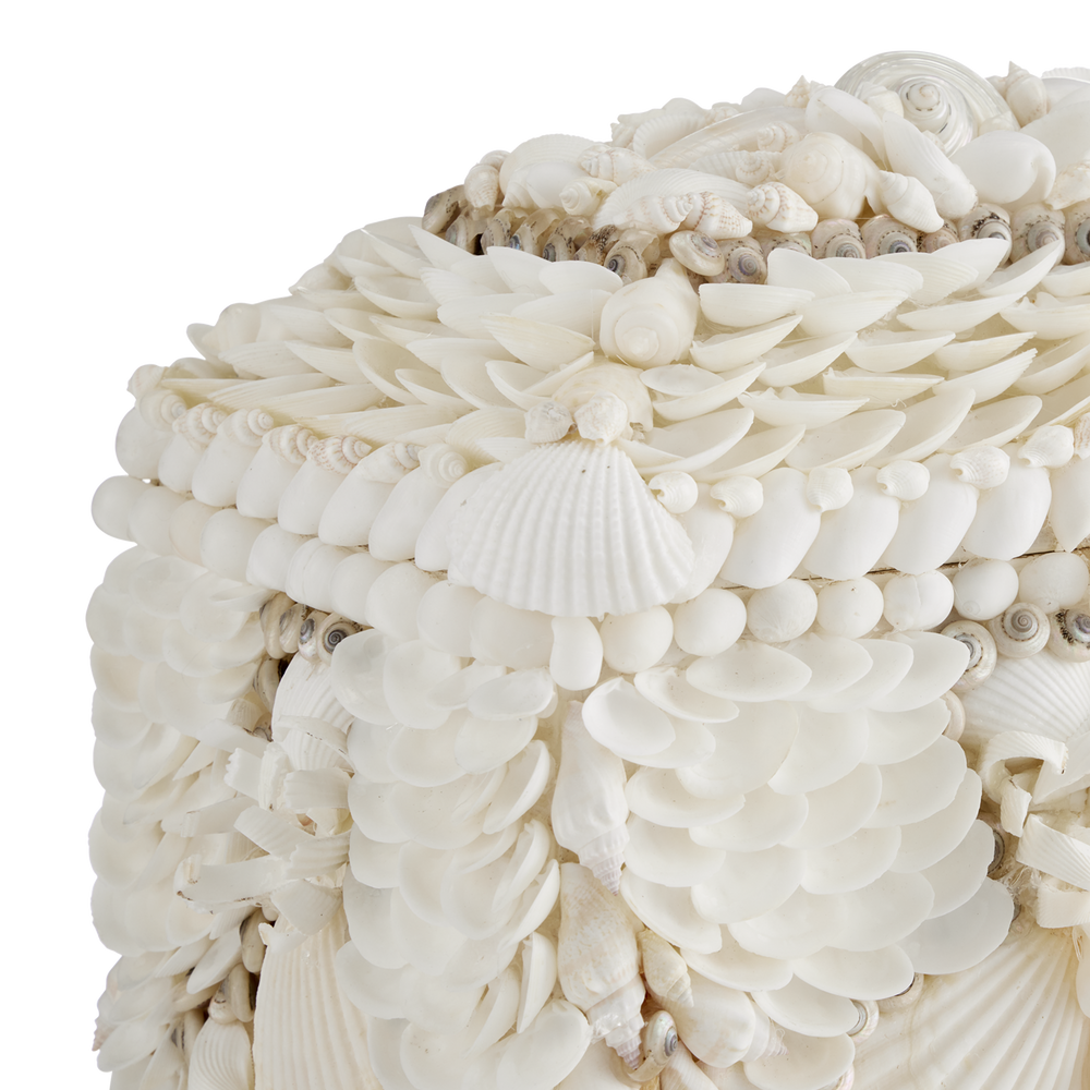 
                      
                        Boardwalk White Shell Jewelry Box.
                      
                    
