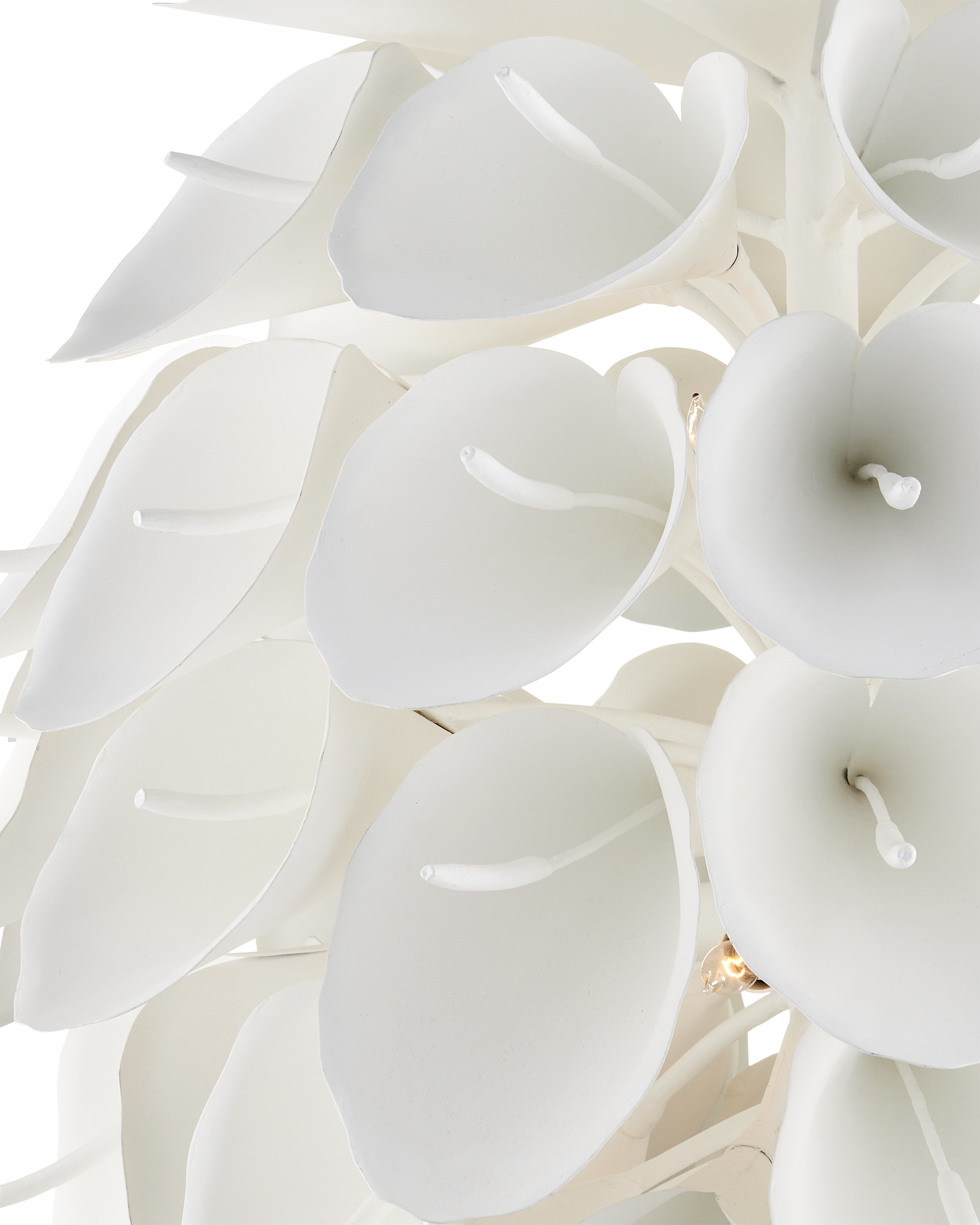 Currey & Company Diego Chandelier - Thumbnail 5
