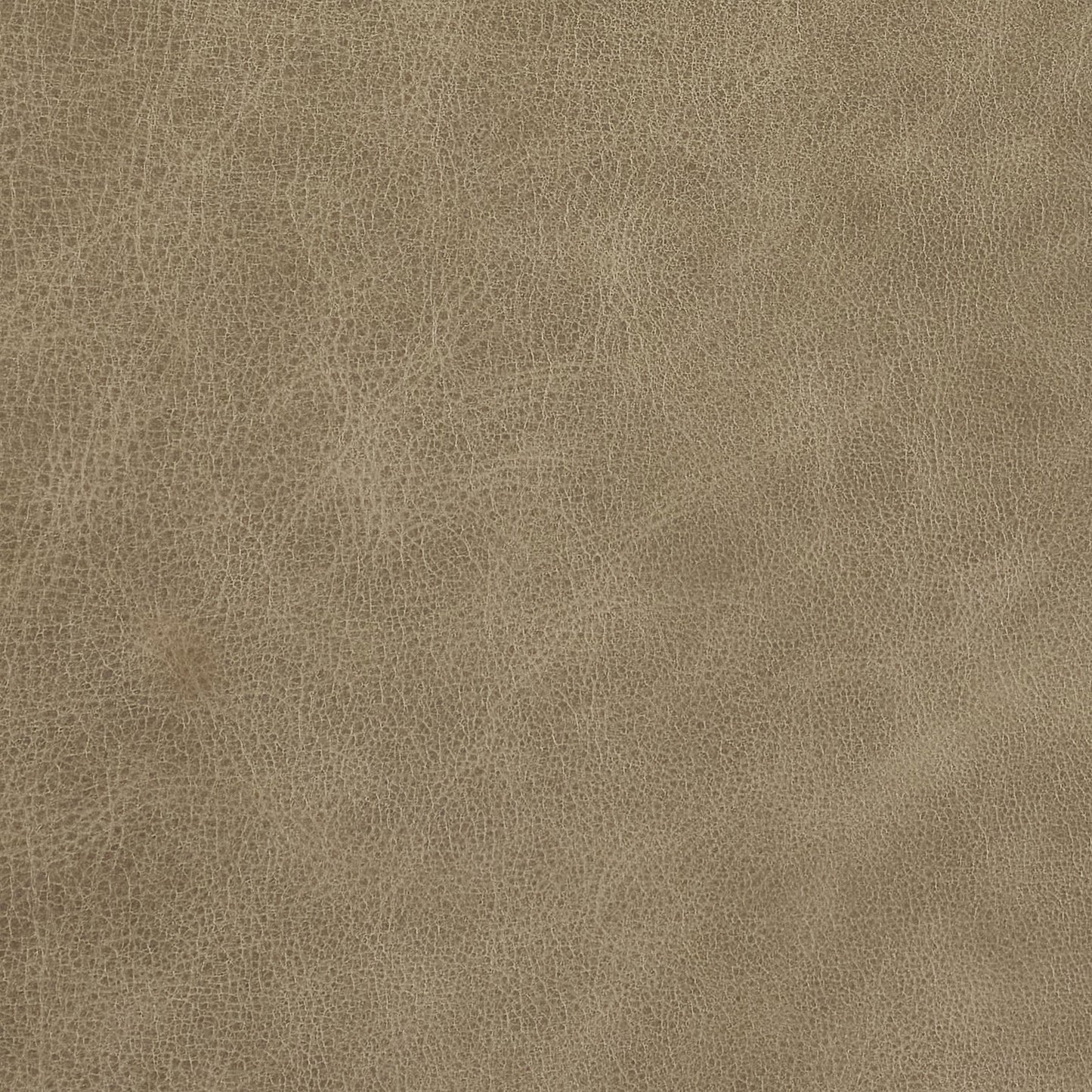 344-020 Leather Swatch
