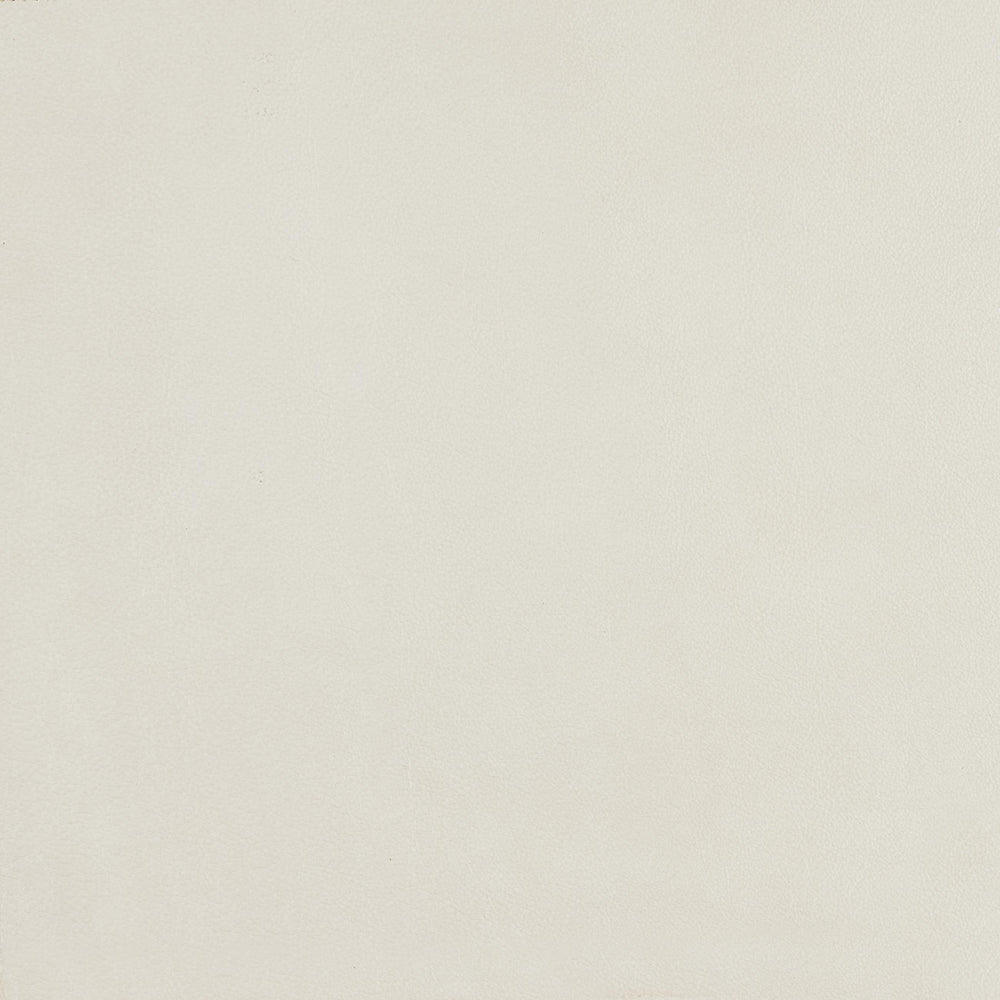 348-000 Leather Swatch
