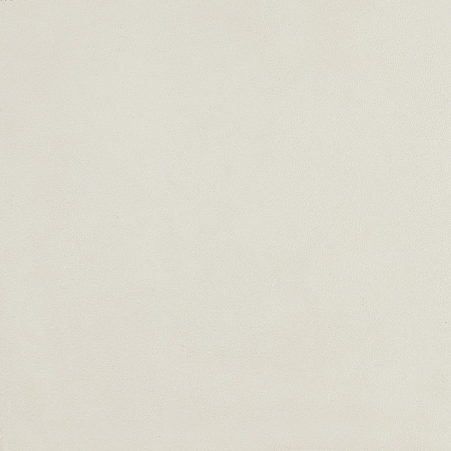 348-000 Leather Swatch
