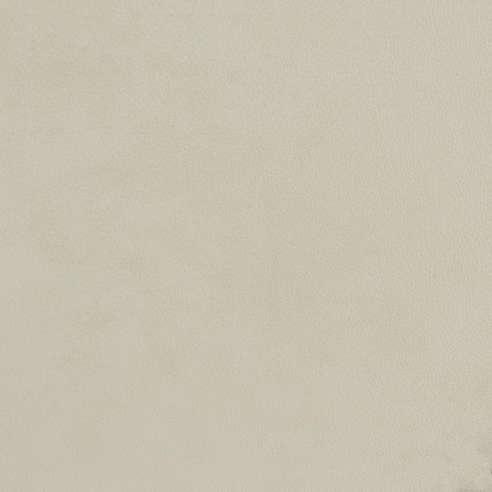 348-002 Leather Swatch