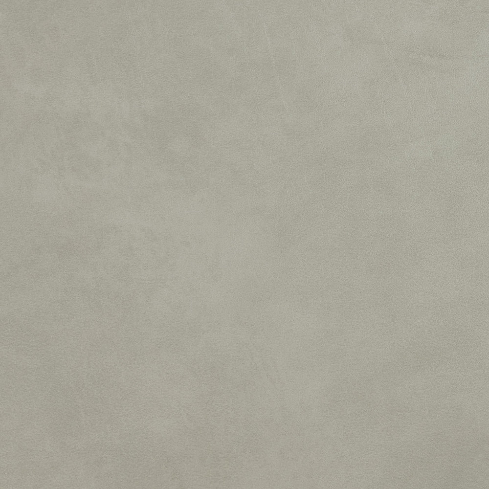 348-010 Leather Swatch