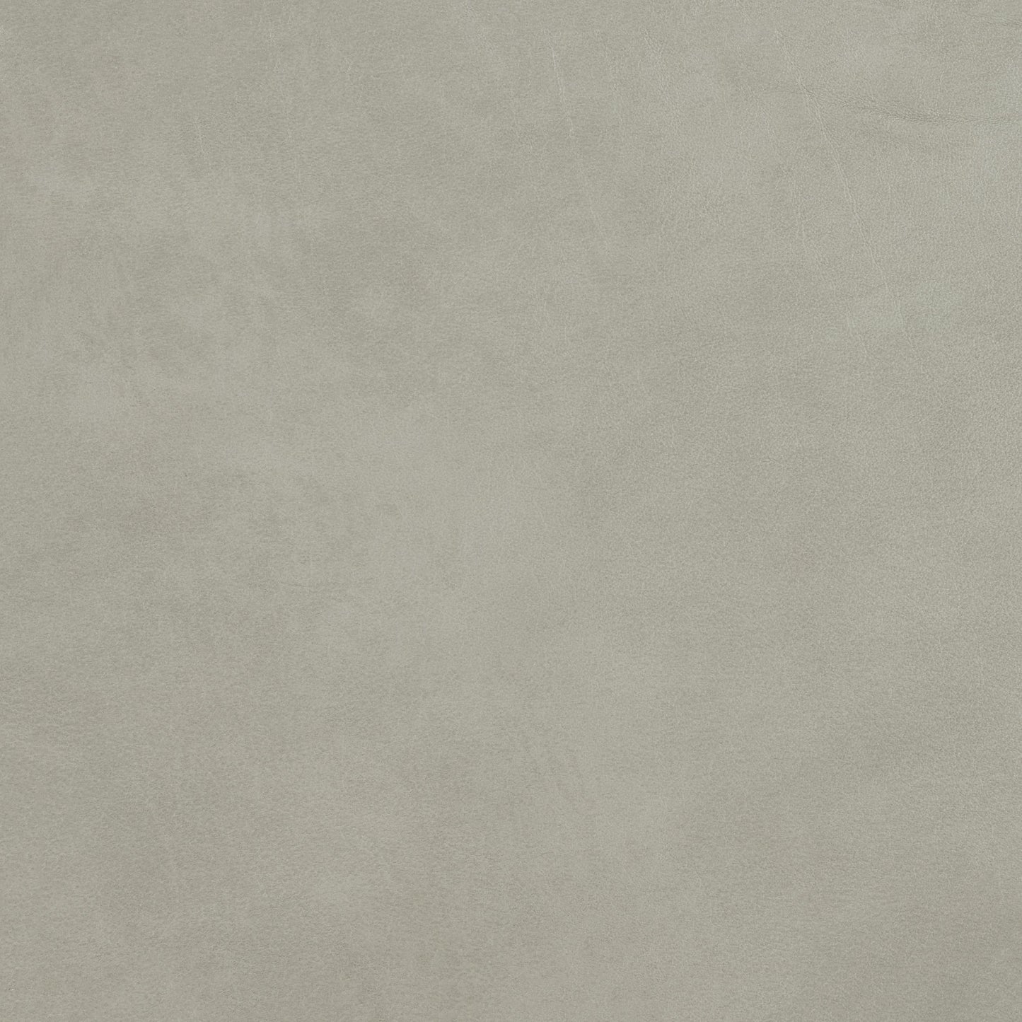 348-010 Leather Swatch