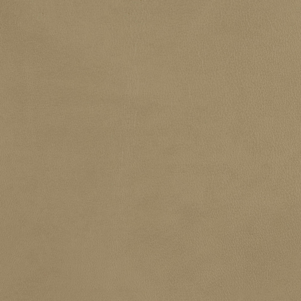 348-020 Leather Swatch