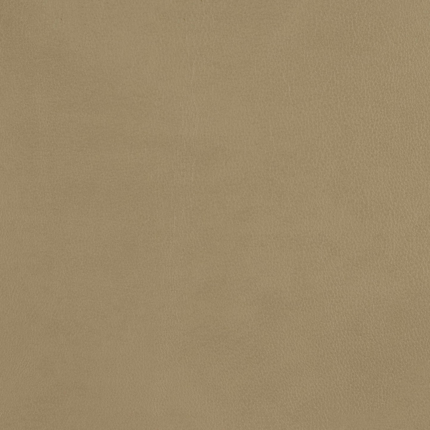 348-020 Leather Swatch