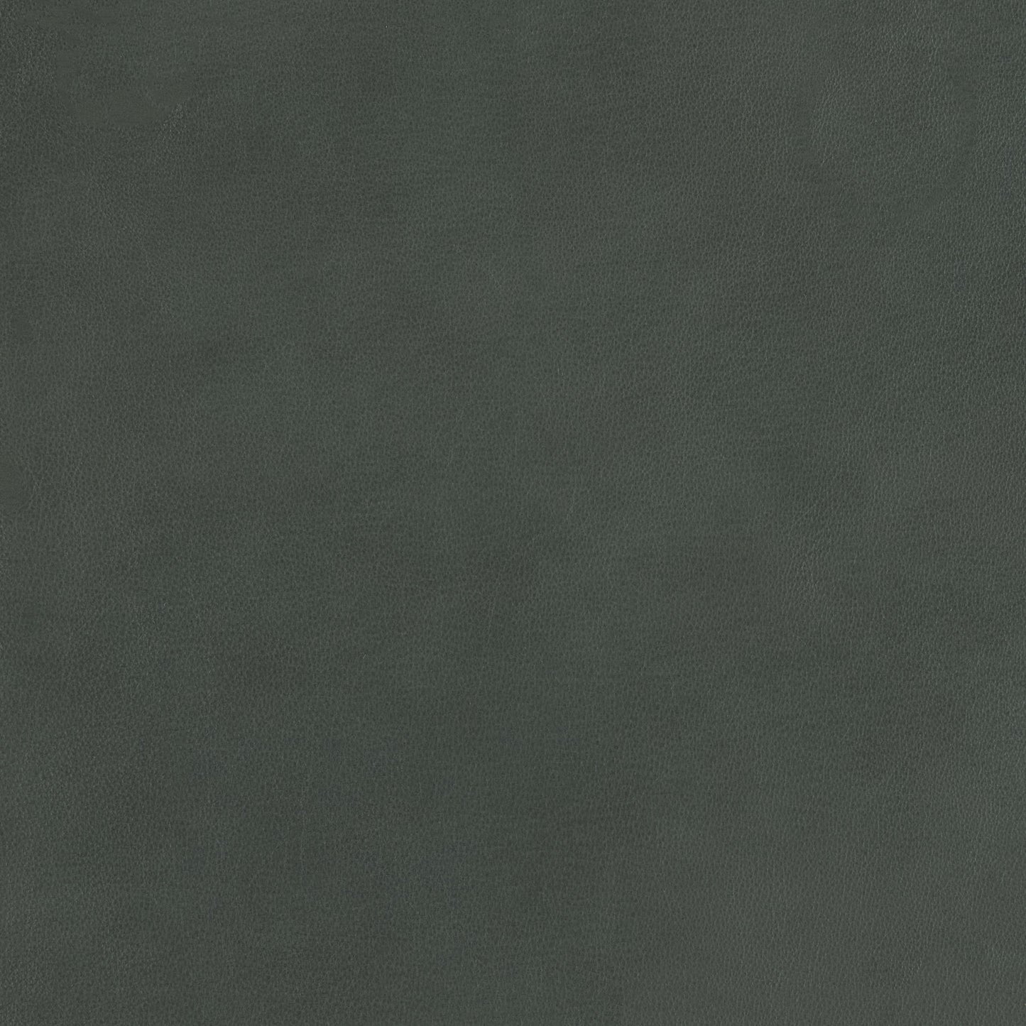 348-033 Leather Swatch