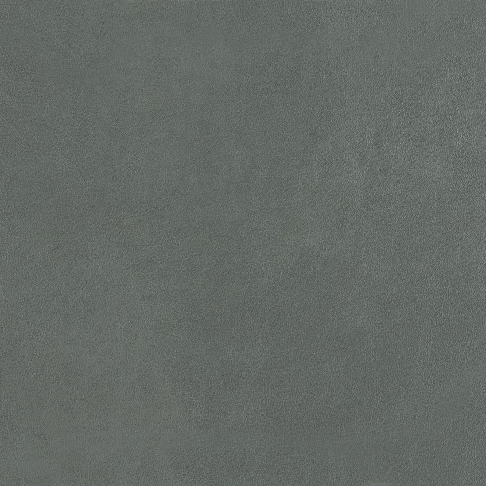 348-041 Leather Swatch