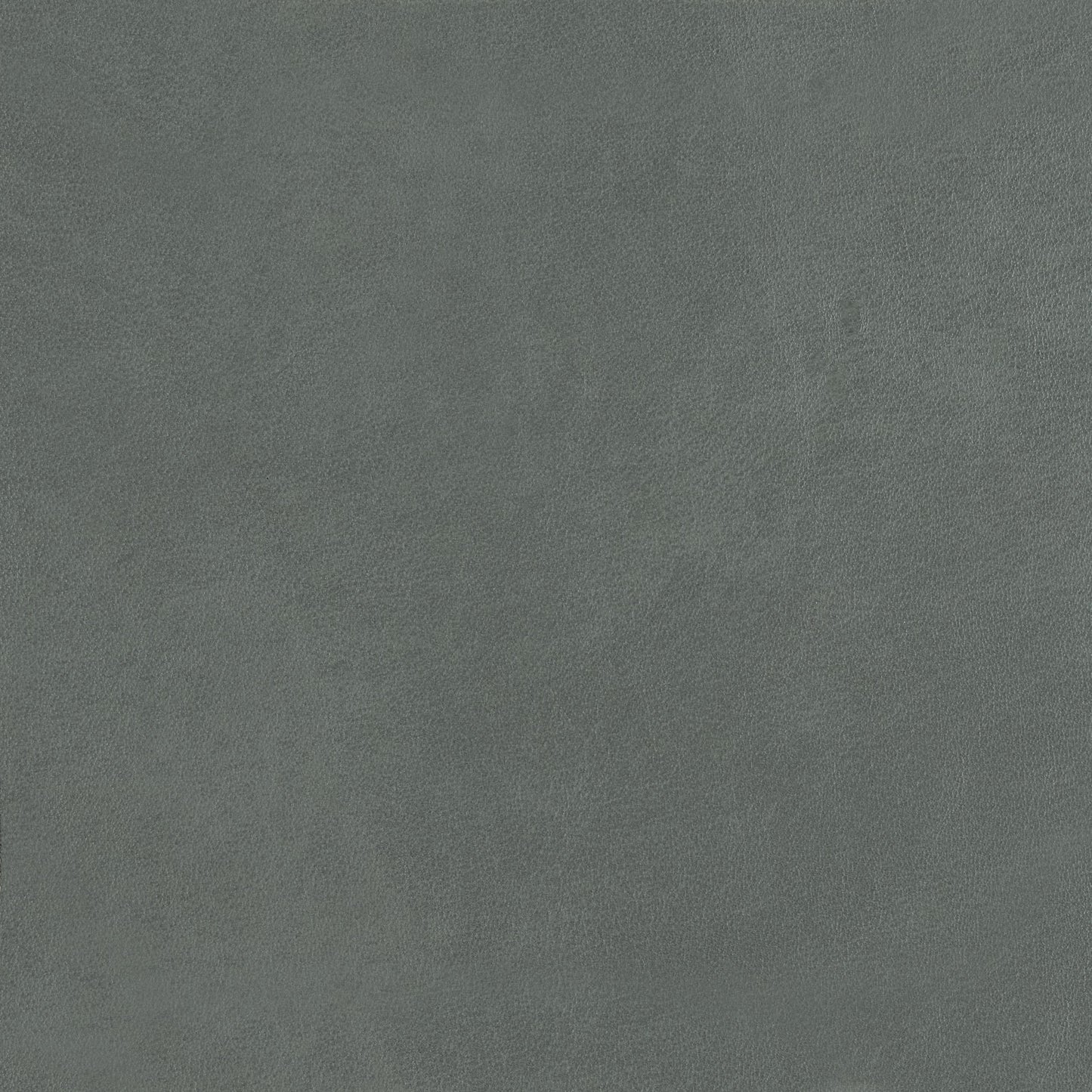 348-041 Leather Swatch