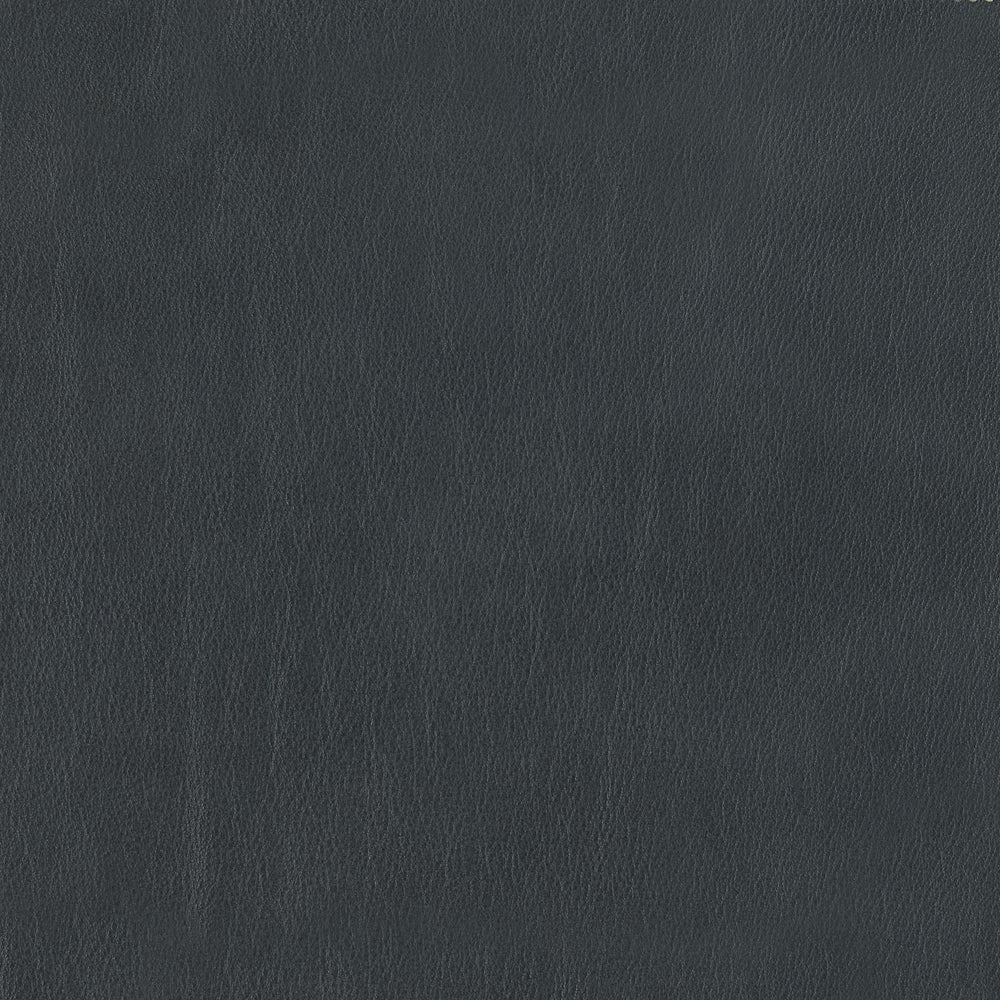 348-044 Leather Swatch