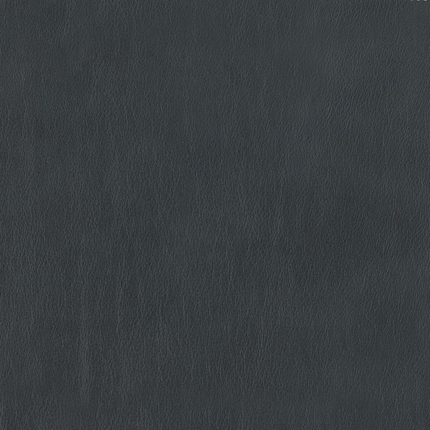 348-044 Leather Swatch