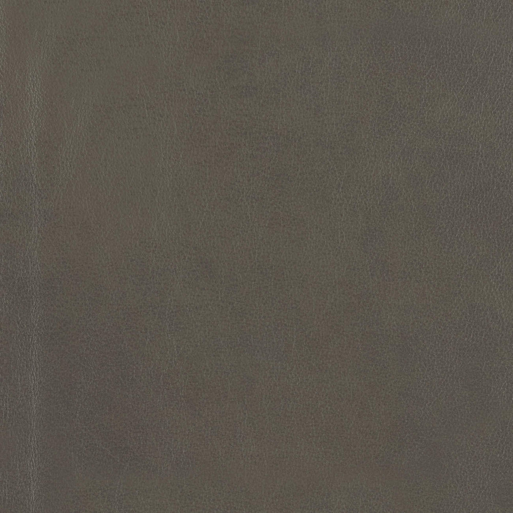 348-110 Leather Swatch