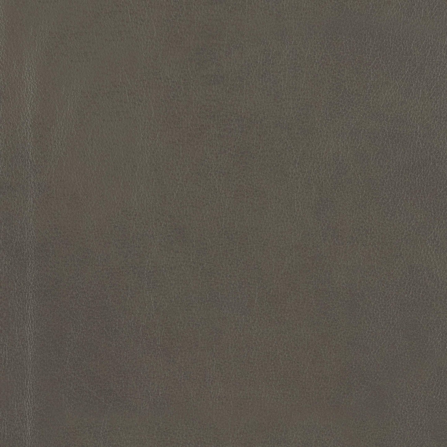 348-110 Leather Swatch