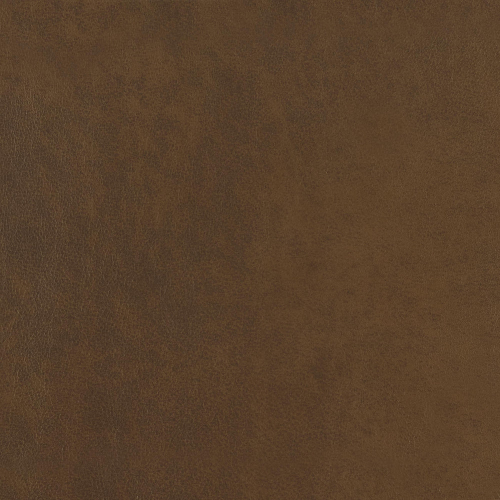 348-120 Leather Swatch