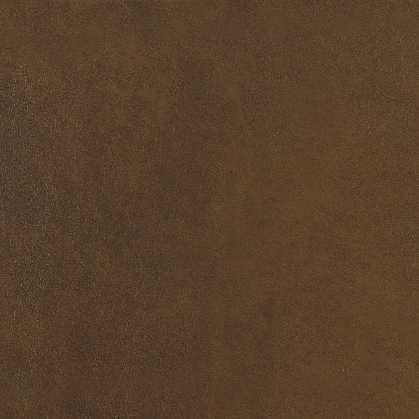 348-120 Leather Swatch