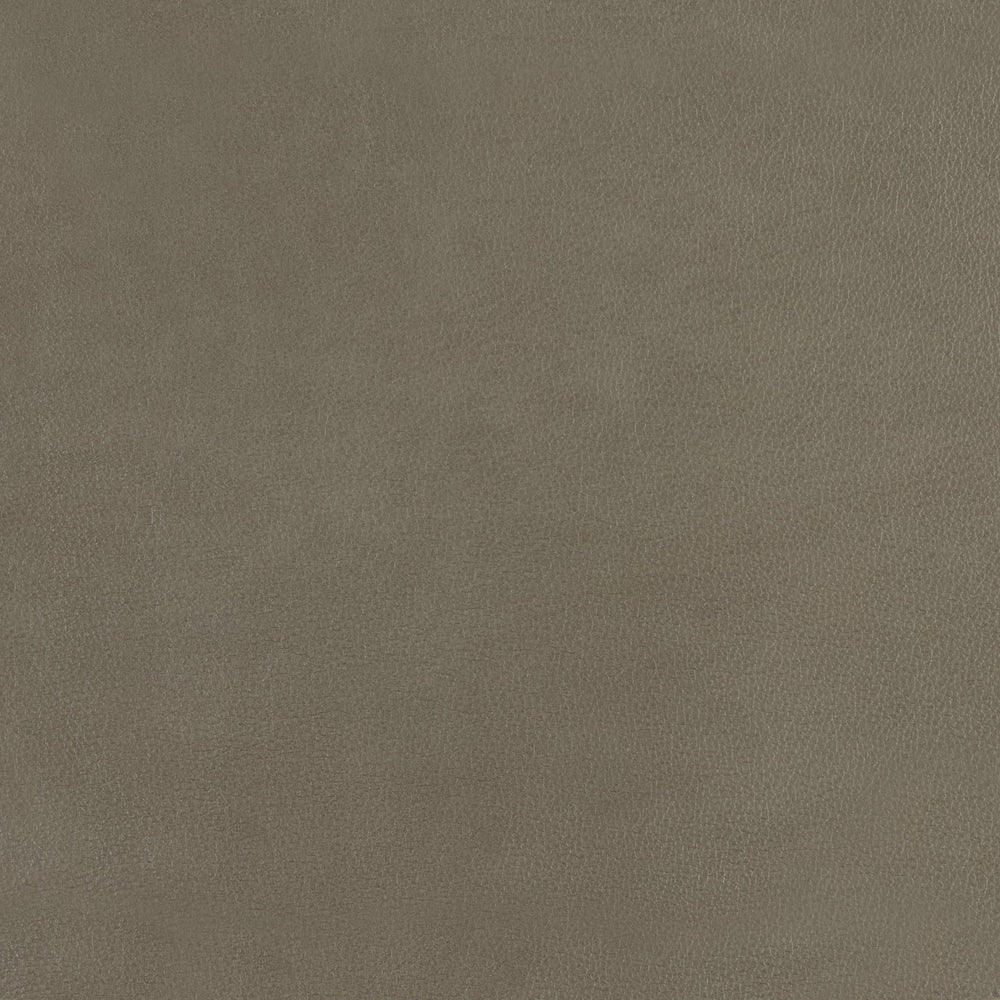 348-122 Leather Swatch