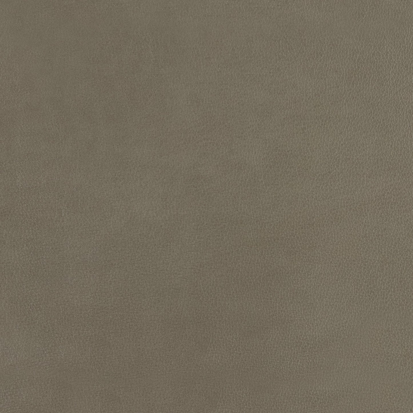 348-122 Leather Swatch