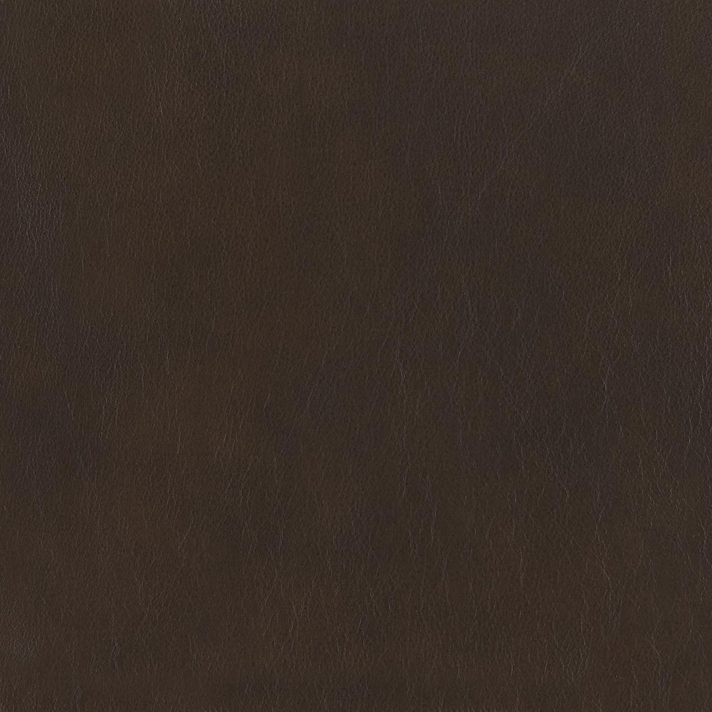 348-220 Leather Swatch