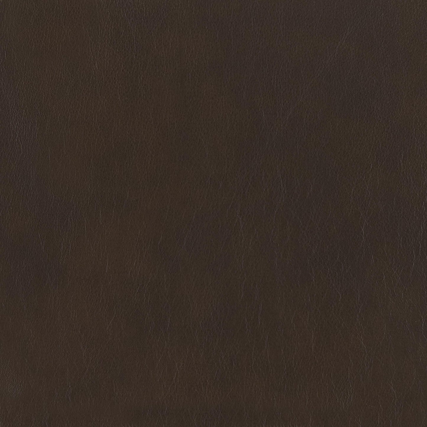 348-220 Leather Swatch