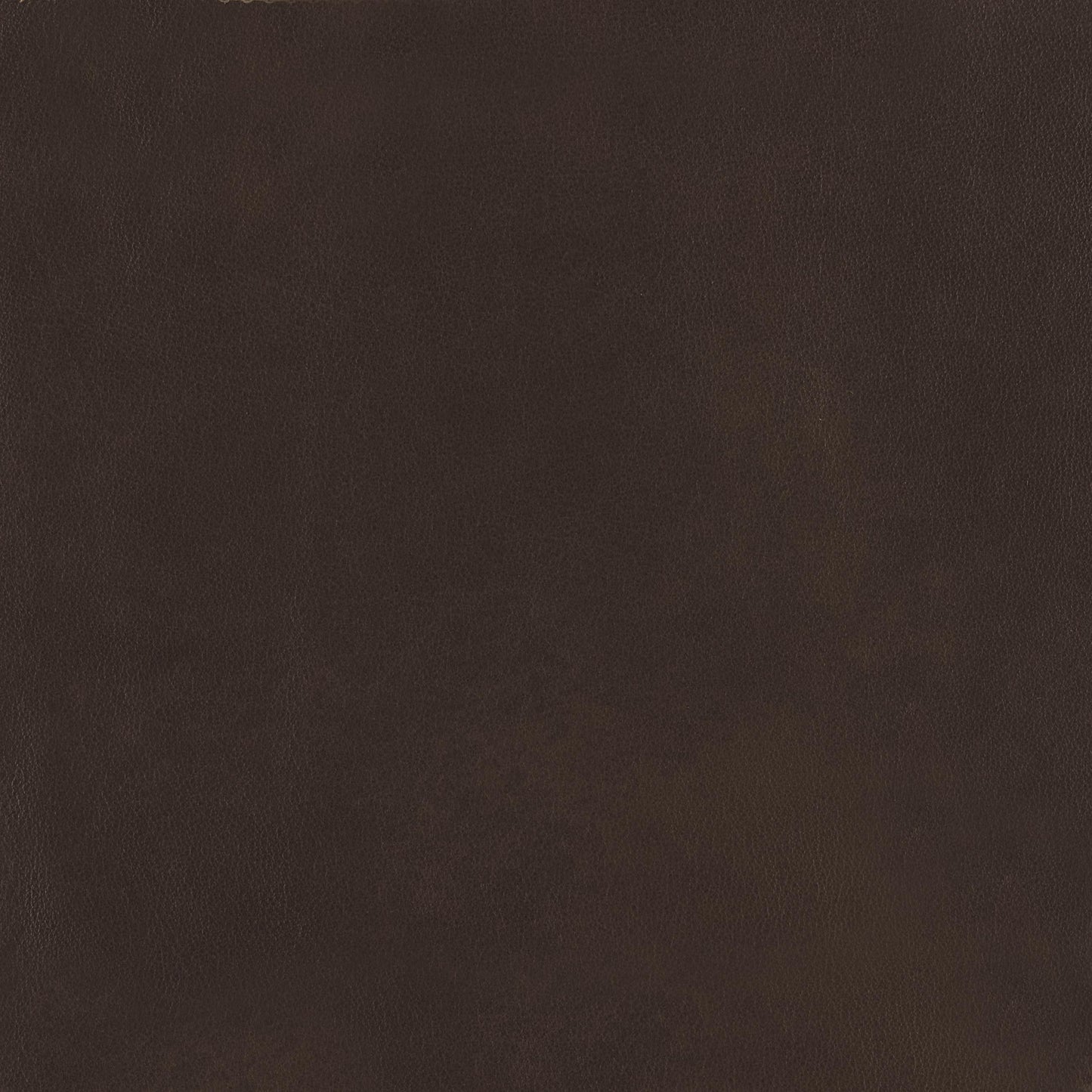 348-222 Leather Swatch